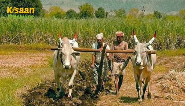 रिशिवत किसानों की निर्माता कंपनी: छोटे और सीमांत किसानों को कैसे सशक्त बना रहे हैं?